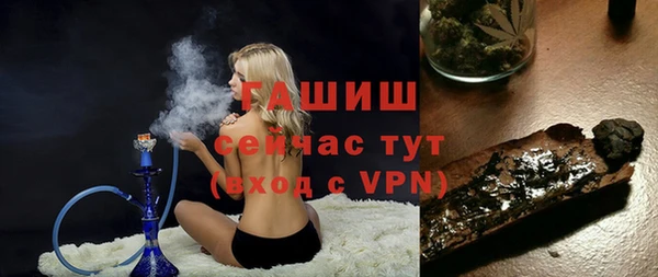 молекула духа Вяземский