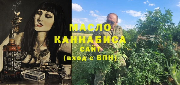 молекула духа Вяземский