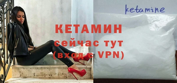 молекула духа Вяземский