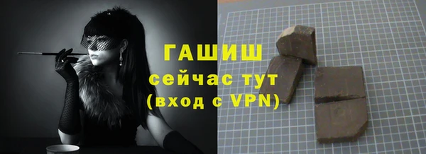 молекула духа Вяземский