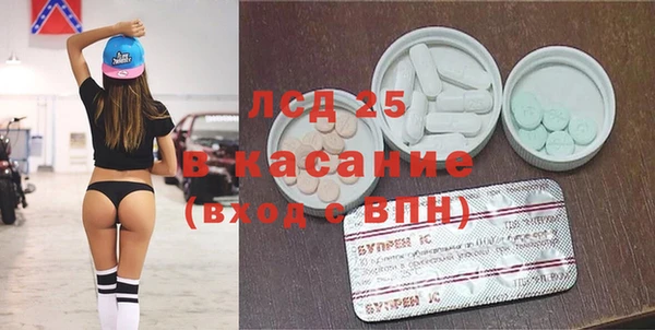 молекула духа Вяземский