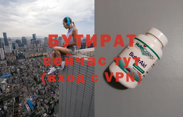 молекула духа Вяземский