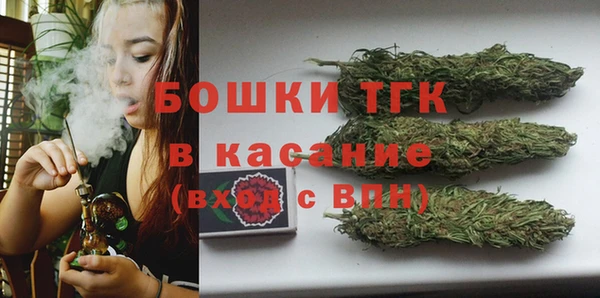 молекула духа Вяземский