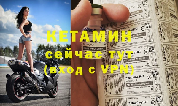 молекула духа Вяземский