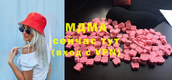 молекула духа Вяземский