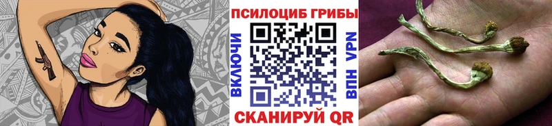Псилоцибиновые грибы прущие грибы Остров
